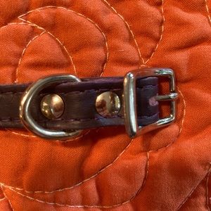 Dark purple pet collar